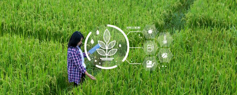 Cómo gestionar eficientemente los requisitos legales y reglamentarios en ISO 14001
